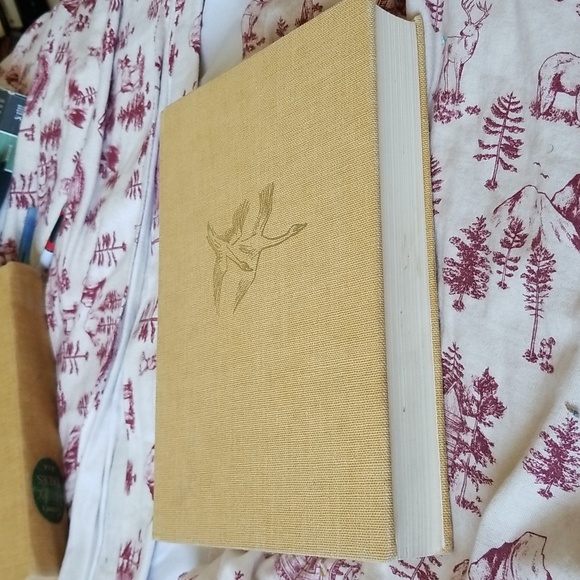 Grimm's Fairy Tales 2 - Picture 3 of 9